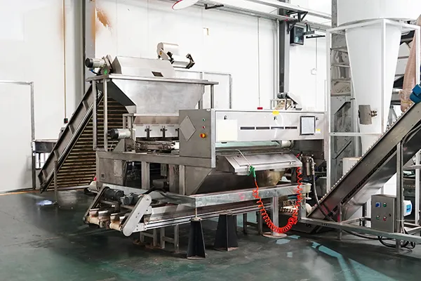 Walnut Color Sorting Machine