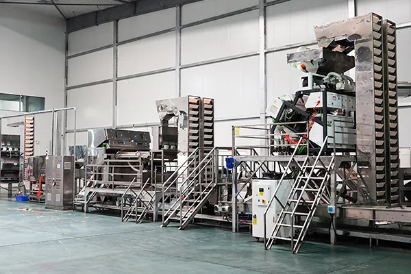 Walnut Color Sorting Machine