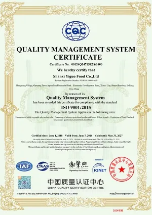 ISO 9001