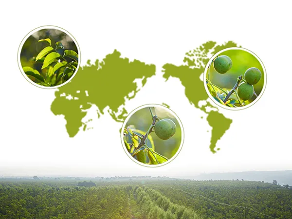 Sign Up To Newsletter